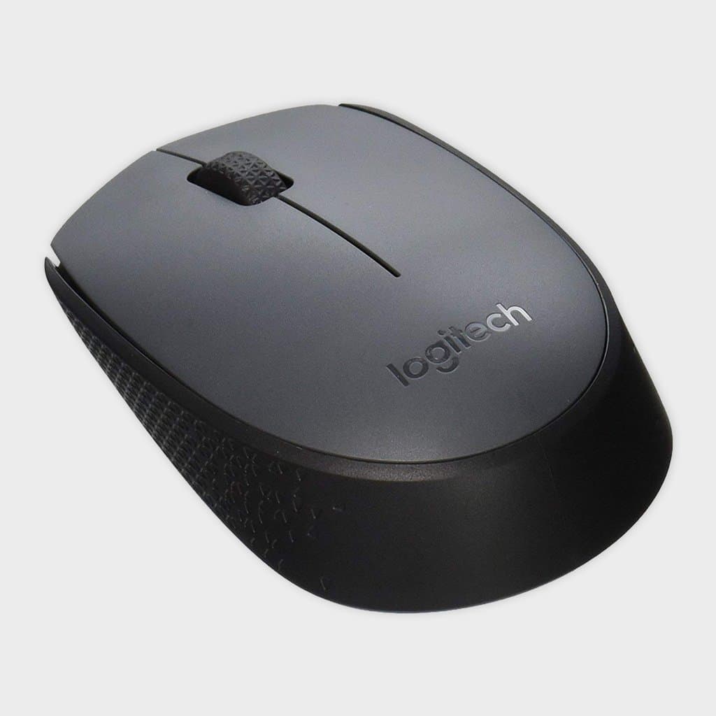 Logitech M171