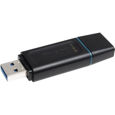 Kingston DTXG2/64GB